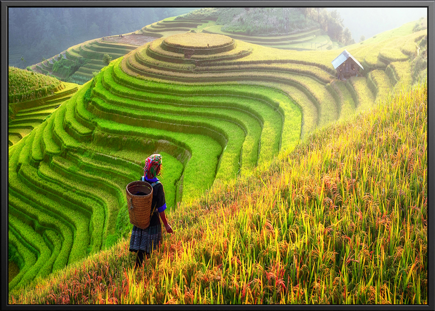 Tranh - 005 (A5)